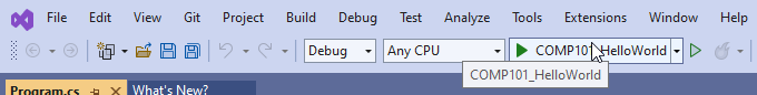 The Visual Studio Run Button